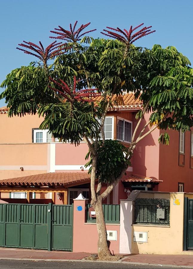 Rosas By Villas Rinamar Las Rosas  ภายนอก รูปภาพ
